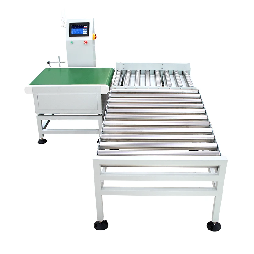 Assembly Checkweigher Scale